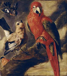 Ara och domherre